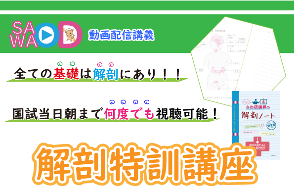 解剖特訓講座