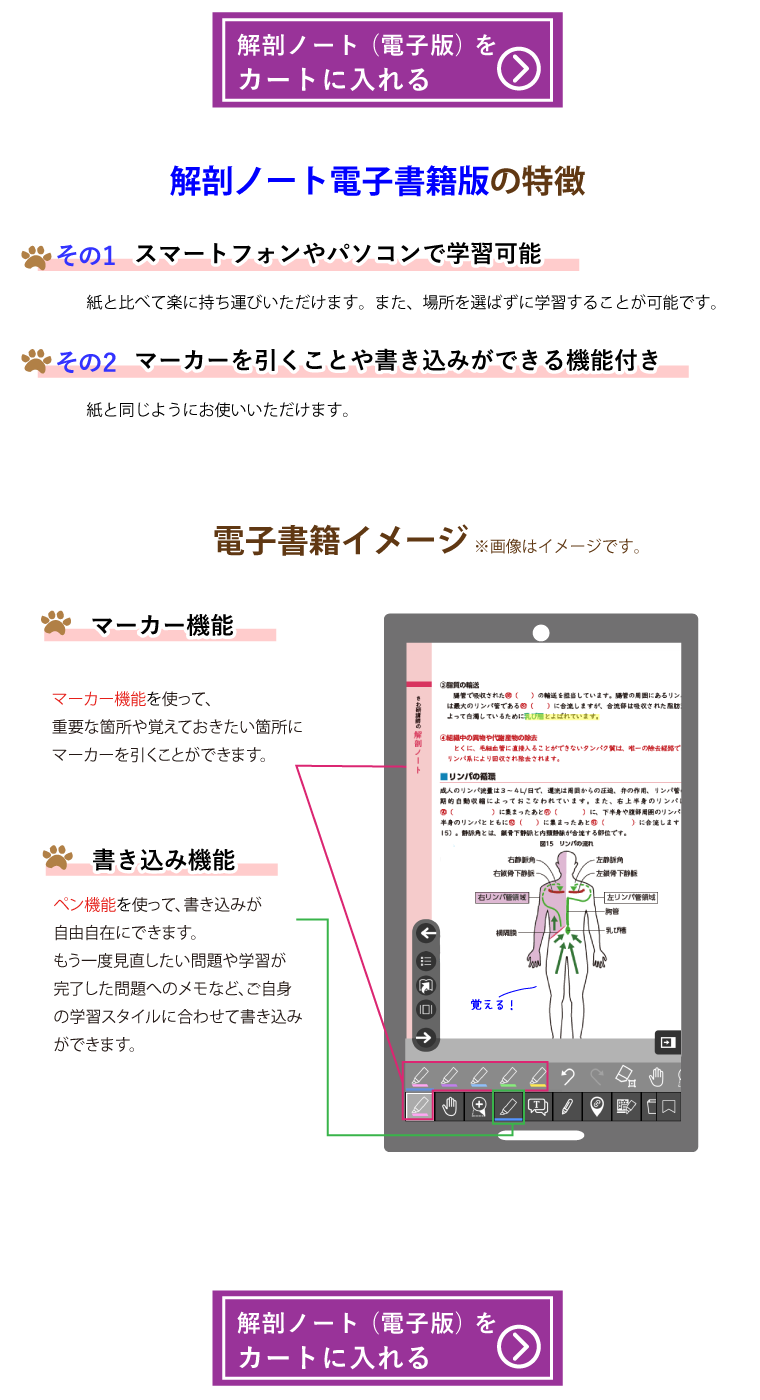 解剖ノート【第3版】_電子版紹介
