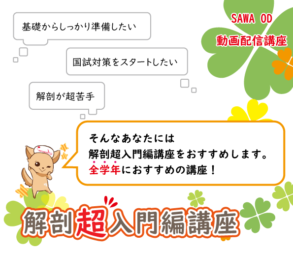 解剖超入門編講座