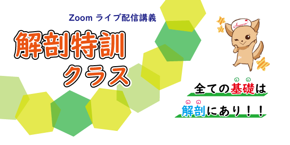 解剖特訓クラス