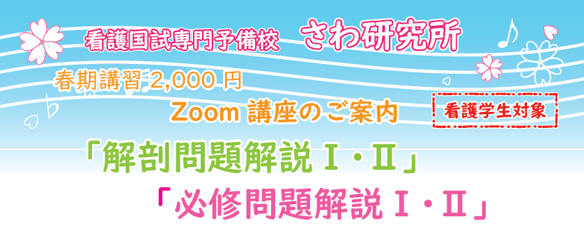 春期講習 解剖編