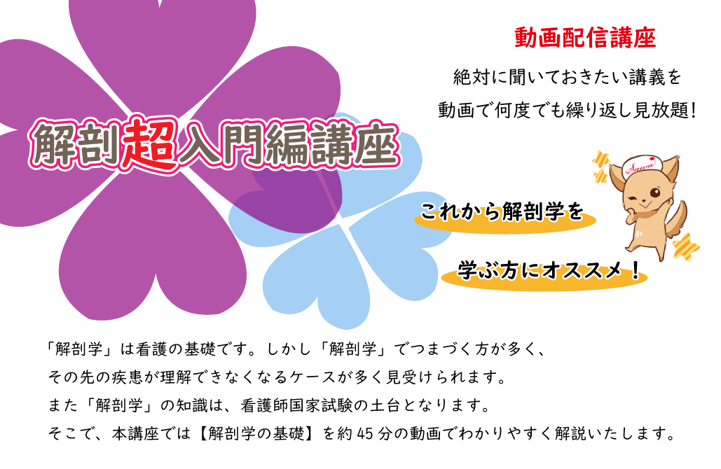 解剖超入門編講座のご案内 看護国試専門予備校 さわ研究所