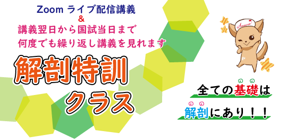 解剖特訓クラス