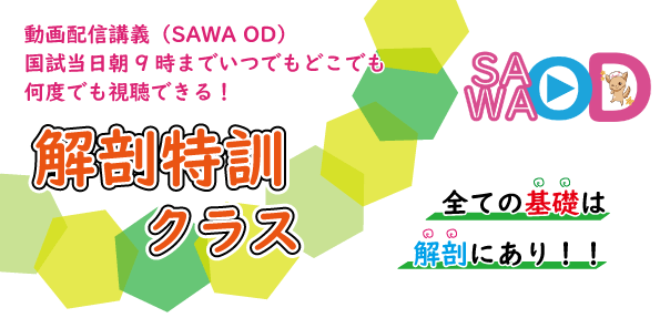 解剖特訓クラス
