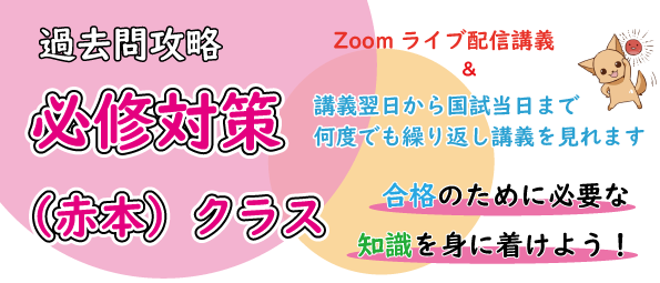 過去問攻略・必修対策クラス
