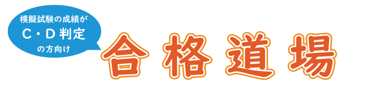 Zoom 合格道場
