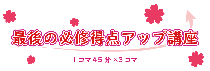 Zoom最後の必修得点アップ講座 1コマ45分×3コマ