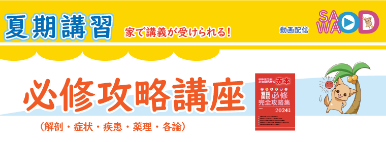 夏期講習_必修対策講座