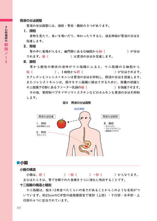 kaibou_2