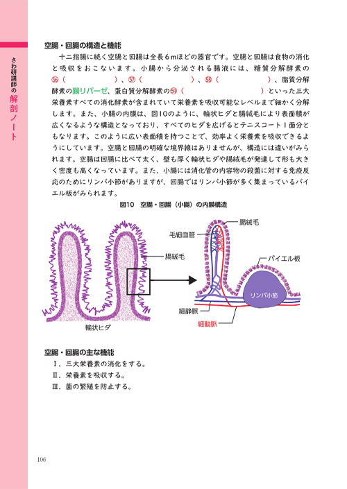 kaibou_6