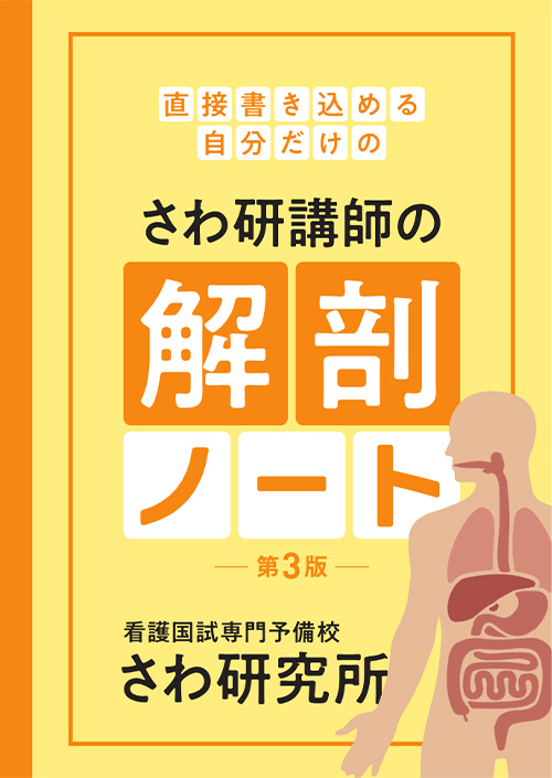 解剖ノート