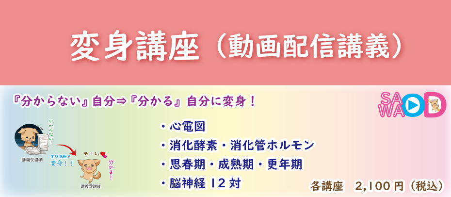 看護国試専門予備校 さわ研究所