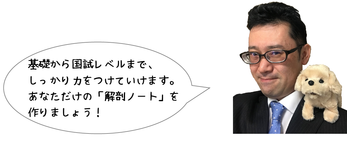基礎から国試レベルまで、しっかり力をつけていけます。