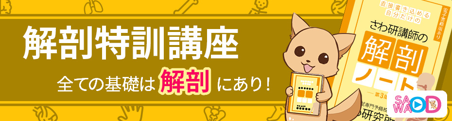 解剖特訓講座