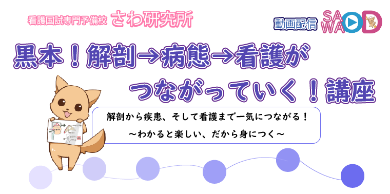 黒本！解剖→病態→看護がつながっていく