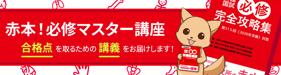 赤本!必修マスター講座