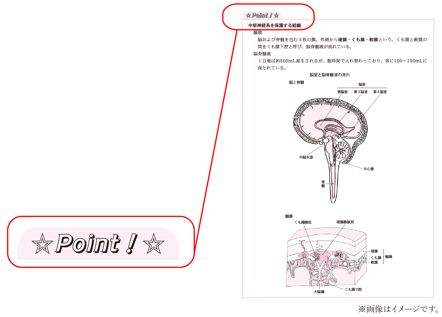 表やイラストを交え詳しくポイントを解説します。