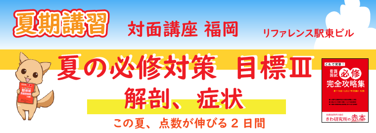 夏期講習 夏の必修対策 目標Ⅲ 解剖、症状 福岡 対面講座