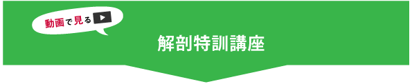 動画で見る_解剖特訓講座