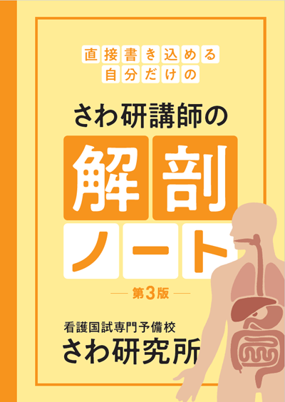 さわ研講師の解剖ノート
